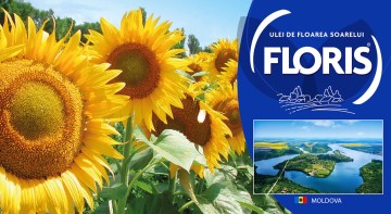 FLORIS INTERNATIONAL