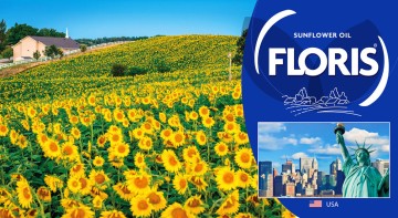 FLORIS INTERNATIONAL