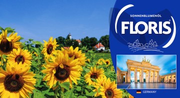 FLORIS INTERNATIONAL
