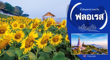 FLORIS INTERNATIONAL